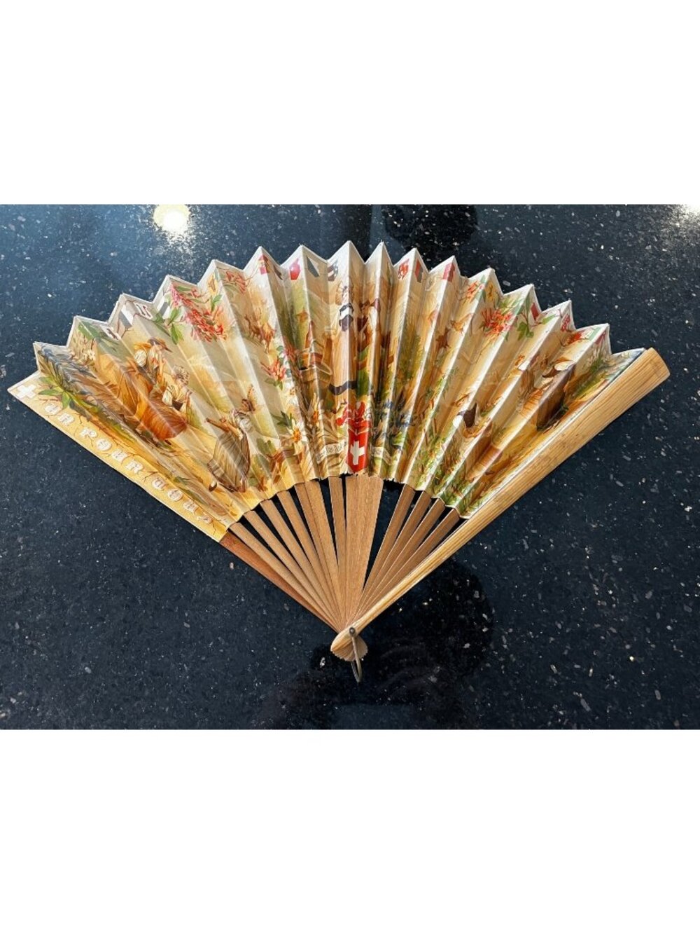 Vintage Swiss switzerland folding fan paper & wood large 22"
